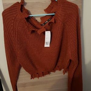 Forever 21 crop top Sweater